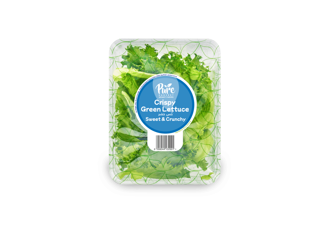 Crispy Green Lettuce